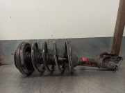Stoßdämpfer Links Vorne 546502B200 Hyundai Santa Fe II (CM) SUV 2.2 CRDi 16V 4x2 (D4EB)