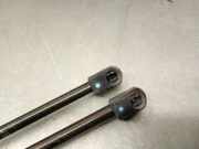 Gasdruckfedern Set Hinten 51927230 Fiat Doblo (263) Großraumlimousine 1.6 D Multijet (263.A.7000)