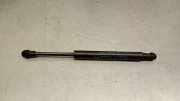 Gasdruckfedern Set Hinten 51479149120 BMW (E71, E72) xDrive 35 d