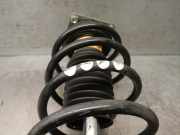 Scharniere 70711 Iveco New Daily IV Van 35C13V, C13V/P, S13V, S13V/P (F1AE0481V)