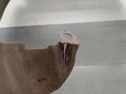 Innenkotflügel Rechts Vorne 7700816040 Renault (CO6) 1.3 CAT