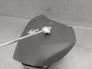 Airbag Lenkrad PA70112021 Peugeot Bipper (AA) Van 1.4 HDi (DV4TD(8HS))