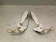 Motorhaubescharnier AV1116800AA Ford B-Max (JK8) Großraumlimousine 1.6 TDCi 16V 95 (T3JB)