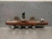 Einspritzdüsen Düsenstock 8200815617 Renault Megane II (BM/CM) Schrägheck 1.5 dCi 105 (K9K-732(K9K-P7))
