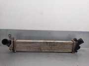 Ladeluftkühler 8200732390C Renault (KC0/1_) 1.5 dCi