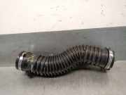 Schlauch 8200720174 Renault Grand Scénic III (JZ) Großraumlimousine 1.9 dCi 130 FAP (F9Q-872(F9Q-P8))