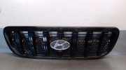 Grill 86250H1040 Hyundai Terracan SUV 2.9 CRDi 16V (J3)