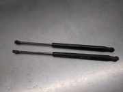 Gasdruckfedern Set Hinten 00518416340 Fiat Panda (312) Schrägheck 1.2 69 (169.A.4000)