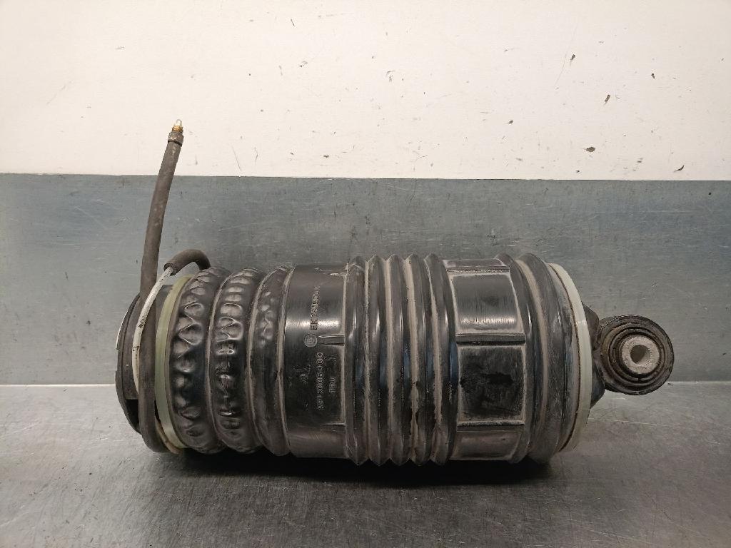 Stoßdämpfer Links Hinten A2113200925 Mercedes-Benz E Kombi (S211) Kombi 3.0 E-280 CDI 24V (OM642.920)