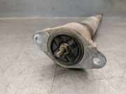 Sto?d?mpfer Rechts Hinten EY1618080EB Ford Transit Courier Van 1.5 EcoBlue (XVCE)