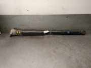 Stoßdämpfer Links Hinten FN1C18080AB Ford EcoSport (JK8) SUV 1.5 TDCi EcoBlue (XVJD)