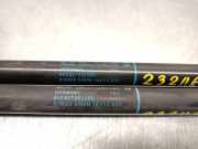 Gasdruckfedern Set Hinten 8V382755205S Audi A3 (8V1/8VK) Schrägheck 3-drs 2.0 TDI 16V (CRBC)