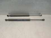 Gasdruckfedern Set Hinten 51248254281 BMW 3 serie (E46/4) Limousine 320d 16V (M47-D20(204D1))