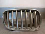 Grill 51137171396 BMW (E71, E72) xDrive 35 d