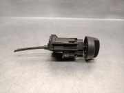 Lichtschalter 251822161R Dacia Furgoneta/monovolumen 1.5 dCi 75 / Blue dCi 75 (FEJW, FEAH)