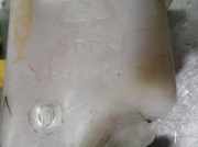 Ausgleichbehälter - - 2543029100 Hyundai Coupe Coupé 1.6 16V (G4GR)