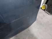 Tür Links Vorne 8T0831051C Audi A5 (8T3) Coupé 3.0 TDI V6 24V Quattro (CAPA)