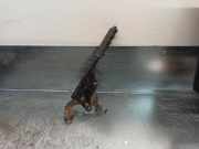 Handbremshebel Nissan Patrol Wagon (W260) Geländewagen 2.8 R TD (RD28T)