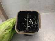 Luftdüse 81A820901E Audi A3 Sportback (8VA/8VF) Schrägheck 5-drs 1.0 TFSI 12V (CHZD)