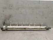 Einspritzdüsen Düsenstock 780912804 BMW X1 (E84) SUV xDrive 20d 2.0 16V (N47-D20C)