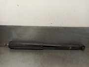 Stoßdämpfer Rechts Hinten 4853002491 Toyota (_E15_) 2.0 D-4D (ADE150_)