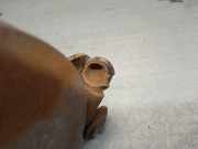 Spiegelgehäuse Rechts Audi AVANT (4B5) 2.5 TDI