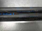 Vorhang Airbag Rechts VOOR VOOR 9646572080 Citroën CITROËN COUPE 1.6 16V CAT (NFU / TU5JP4)