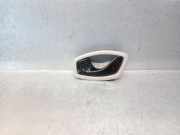 Türgriff Innen Links Vorne 806700006R Renault ZOE (BFM_) ZOE