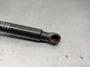 Gasdruckfedern Set Hinten 81780G4000 Hyundai i30 (PDEB5/PDEBB/PDEBD/PDEBE) Schrägheck 2.0 N Turbo 16V Performance (G4KH)