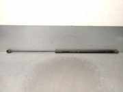 Gasdruckfeder Set Vorne A0039809464 Mercedes-Benz G (463) SUV G 500 4.0 Biturbo V8 32V (M176.980)