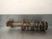 Motorsteuergerät 8200453233 Renault Vel Satis (BJ) Großraumlimousine 3.0 dCi V6 24V (P9X-701(Euro 3))