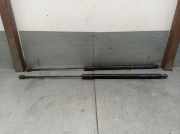 Gasdruckfedern Set Hinten AM51U406A10AB Ford C-Max (DXA) Gro?raumlimousine 1.6 TDCi 16V (T1DA)