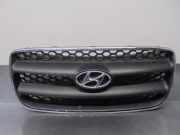Grill 865612B010 Hyundai Santa Fe II (CM) SUV 2.2 CRDi 16V 4x2 (D4EB)