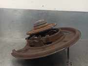 Achsschenkel Halter Links Hinten A1699810027 Mercedes-Benz B (W245) Schrägheck 2.0 B-200 16V Turbo (M266.980)