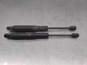 Gasdruckfeder Set Vorne A2218800329 Mercedes-Benz S (W221) Limousine 3.0 S-320 CDI 24V 4-Matic (OM642.930)