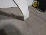 Kotfl?gel Links Vorne 9808757880 Citro?n Jumpy Van 2.0 Blue HDI 120 (DW10FE(AHK)) DW10FE(AHK)