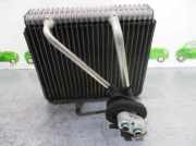 Klima Verdampfer Hyundai Matrix Schr?gheck 1.8 16V (G4GBG)