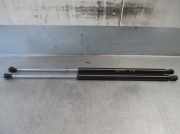 Gasdruckfedern Set Hinten 8731G6 Peugeot 807 Großraumlimousine 2.2 HDiF 16V (DW12TED4(4HW))