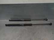 Gasdruckfedern Set Hinten 51785412 Fiat 500 (312) Schr?gheck 1.4 16V (169.A.3000)