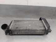 Ladeluftkühler BV619L440CJ Ford TRANSIT CONNECT 1.6 TDCi CAT