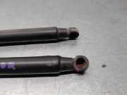 Gasdruckfedern Set Hinten 51794232 Ford Ka II Schrägheck 1.2 (169.A.4000)