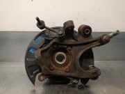 Achsschenkel Halter Links Hinten 527102B000 Hyundai SANTA FÉ II (CM) 2.2 CRDi