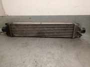 Ladeluftkühler 51783791 Fiat Doblo Cargo (263) Van 1.3 D Multijet (263.A.2000)