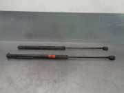 Gasdruckfeder Set Vorne BKK41003 Rover 800 Fastback Schrägheck 5-drs 827 2.7 Si 24V (C27A1)