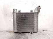Ladeluftkühler 281904A21X Hyundai / STAREX Autobús (A1) 2.5 TCi