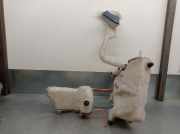 Scheibenwaschbehälter 2118601460 Mercedes-Benz CLASE (W219) 3.0 CDI CAT