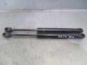 Gasdruckfedern Set Hinten 817713D001 Hyundai Sonata Limousine 2.4 16V CVVT (G4KC)