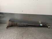 StoÃŸdÃ¤mpfer Links Hinten 19139968 Audi A6 (C6) Limousine 2.4 V6 24V (BDW)