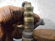 Lenkgetriebe 51708840 Fiat Panda (169) Schrägheck 1.2 Fire (188.A.4000)