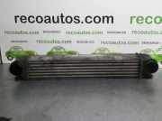 Ladeluftkühler 17512247359 BMW SERIE 5 BERLINA (E39) 530d